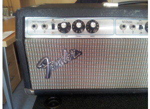 Fender Bassman 100 (Silverface) (45912)