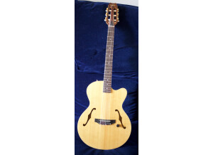 Yamaha AEX500N2 (93696)
