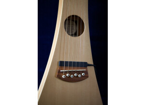 Martin & Co Steel String Backpacker Guitar (7651)