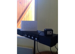 Moog Music Etherwave Theremin Standard (3935)