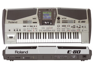 Roland E-80 (48458)