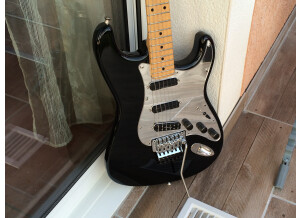 Fender Stratocaster Iron Maiden (499)
