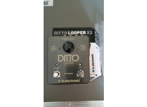 TC Electronic Ditto X2 (97401)
