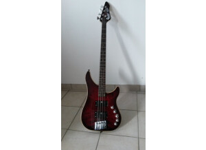 Vigier Excess Roger Glover Custom (49079)