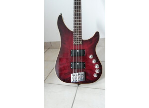 Vigier Excess Roger Glover Custom (38562)