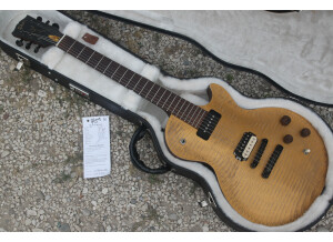 Gibson Les Paul BFG (40691)