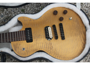 Gibson Les Paul BFG (29204)