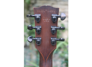 Gibson Les Paul BFG (12136)