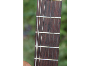 Gibson Les Paul BFG (16339)