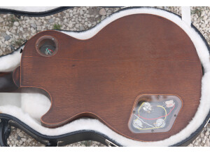 Gibson Les Paul BFG (87866)