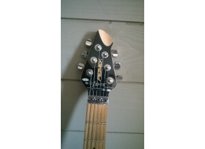 Peavey Wolfgang Special (48697)