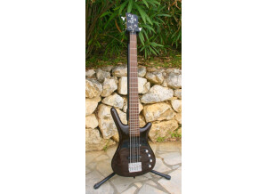 Warwick WARWICK Corvette Basic Rockbass 5c