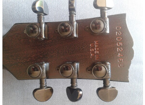 Gibson SG Voodoo (71538)