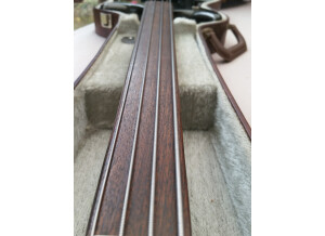 Westone Thunder IA Bass (85971)