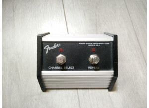 Fender Champion 110 (8224)
