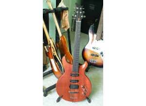 Fretless