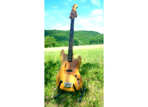 Fender MasterBass Fender USA