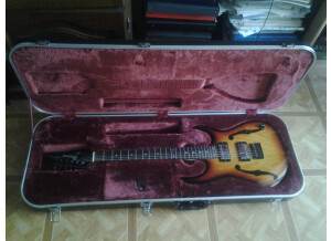 Ibanez PGM401 (19859)