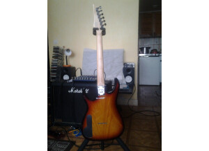 Ibanez PGM401 (26535)