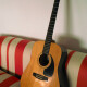 6 Pro Mahogany 6 Pro Mahogany