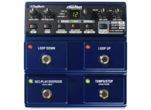 DigiTech JamMan Stereo (3239)