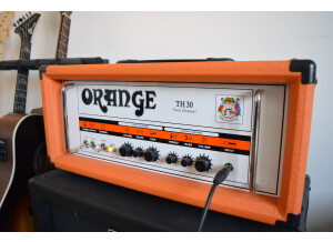 Orange TH30 Head (7586)
