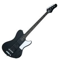 Schecter Ultra Bass (2010-2019)