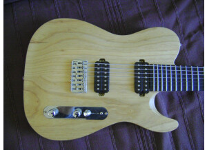 Chapman Guitars ML-7 T (77237)