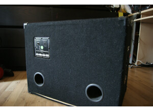 Ashdown MAG 210T Deep Cabinet (63796)
