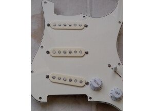 Fender Pickguard Fender Custom Shop 69