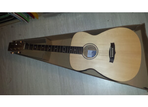 Tanglewood TWR O E (91614)