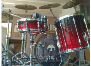 Mapex Black Panther Special Edition Elm
