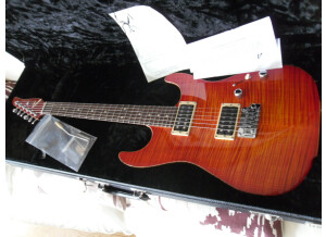 Tom Anderson Cobra S (37516)