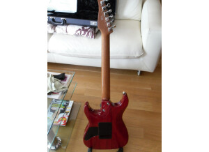 Tom Anderson Cobra S (30104)