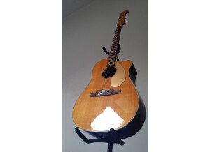 Fender Villager 12 String [2010-2011]