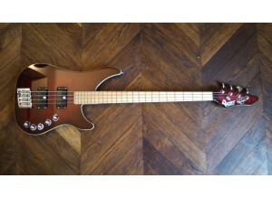 Vigier Excess Roger Glover Custom (29066)