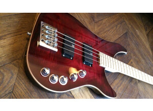 Vigier Excess Roger Glover Custom (23769)