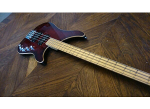 Vigier Excess Roger Glover Custom (43831)