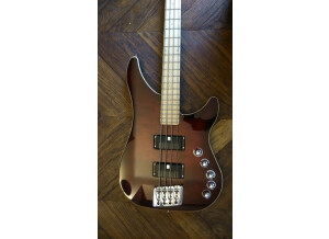 Vigier Excess Roger Glover Custom (29219)