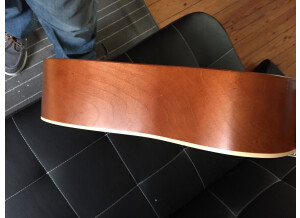 Art & Lutherie Folk Cedar Antique Burst Left (9625)