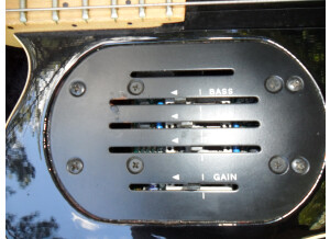 Godin Acousticaster LR Baggs (13404)