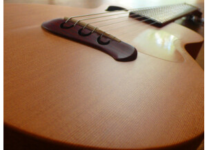 Tacoma Guitars papoose (51865)
