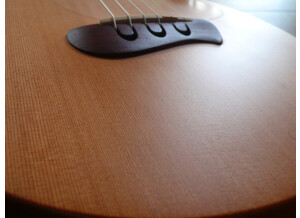 Tacoma Guitars papoose (63522)
