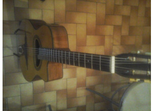 Nash Acoustic Guitar NH62 (81461)