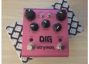 Strymon DIG (61942)