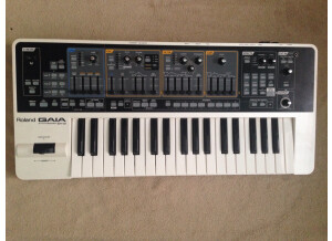 Roland GAIA SH-01 (18552)