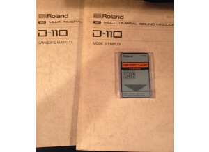 Roland D-110 (98544)