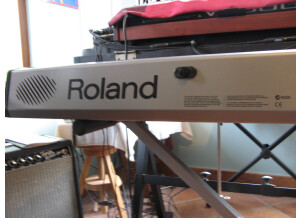 Roland FP-2 (41103)