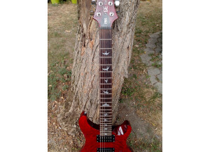 PRS SE Custom 24 - Scarlet Red (21921)
