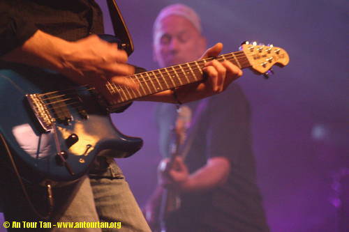 Music Man Luke (Vintage Tremolo)